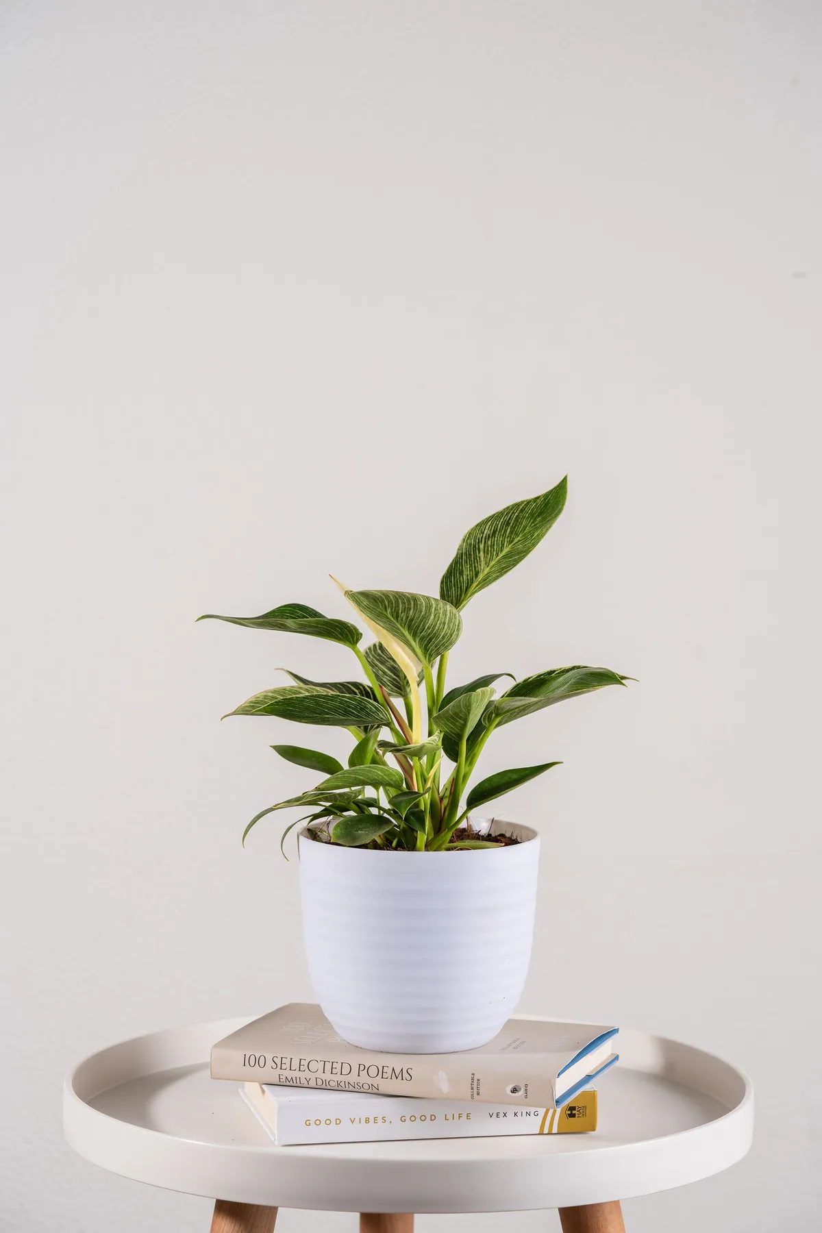 Products photography by Pranav Kalra — frame 10