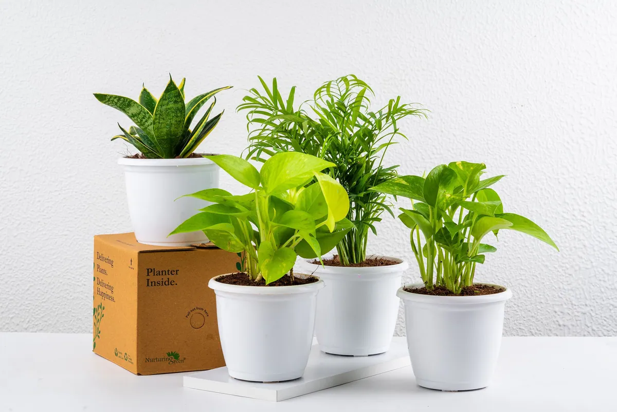 Products photography by Pranav Kalra — frame 29