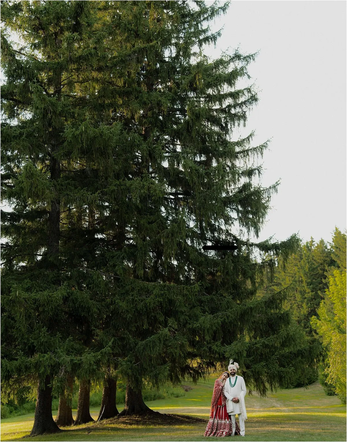 Raghav & Shraddha — wedding photograph 3